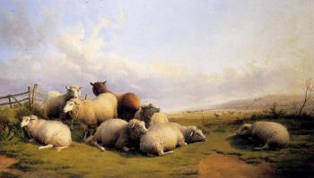 托馬斯 辛德尼 庫珀 Sheep In An Extensive Landscape